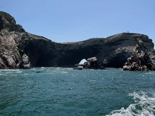 Tour Islas Ballestas - foto 2