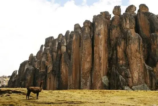 Tour Bosque de Piedra de Huayllay - foto 1