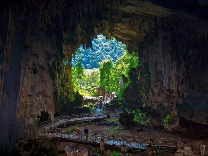 Tour Parque Nacional