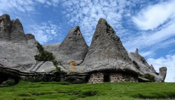 Tour Bosque de Piedra de Pampachiri - foto 3