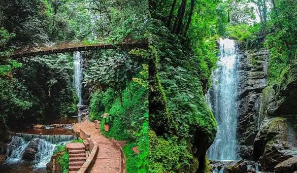 Tour Catarata Río Tigre - foto 3