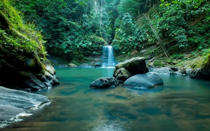 Tour Catarata Pishurayacu