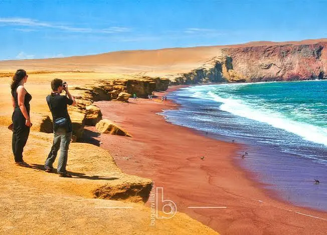 Tour Reserva Nacional de Paracas - foto 1