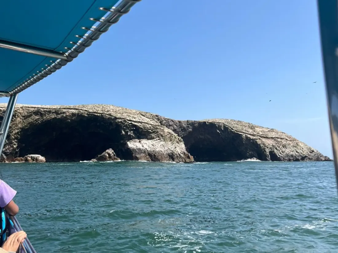 Tour Islas Ballestas - foto 1