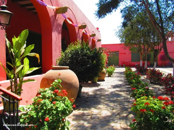 Tour Ruta del Pisco - foto 5