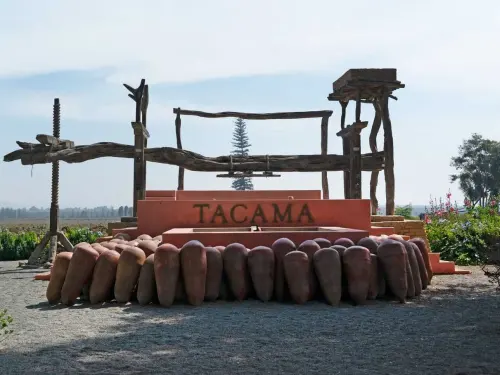 Tour Ruta del Pisco