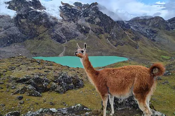 Tour Nevado Huaytapallana - foto 2